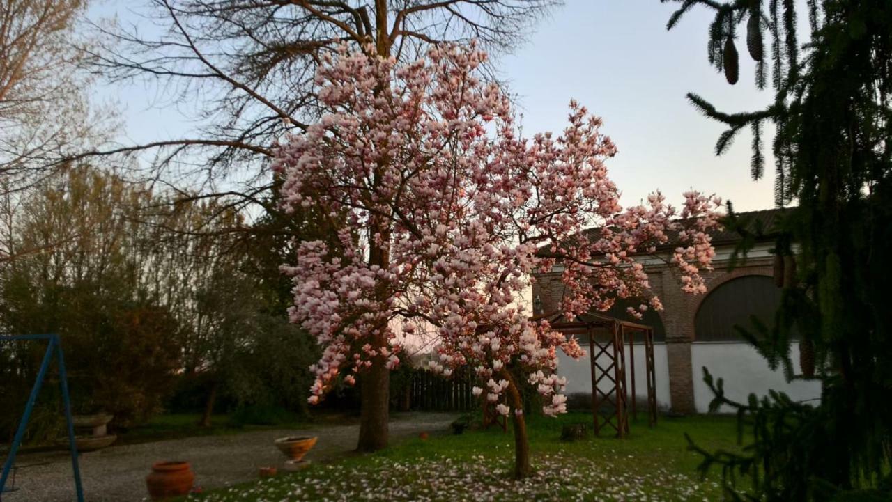 Agriturismo Cipolli e Podò Corte Carlini Mântua Exterior foto